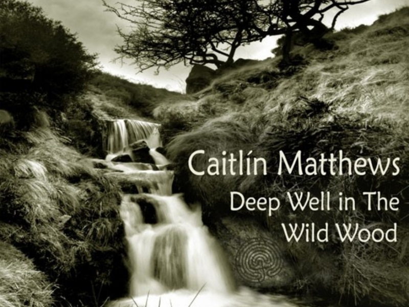 Deep Well in the Wild Wood: Songs From the Place Beyond written and sung by Caitlín Matthews accompanied & arranged by instrumentations by R.J.Stewart