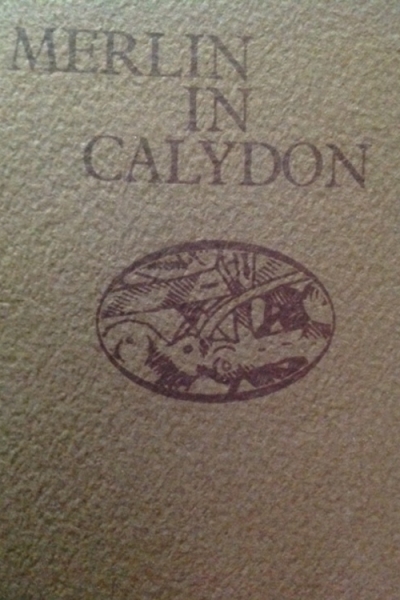 Merlin in Calydon by John Matthews